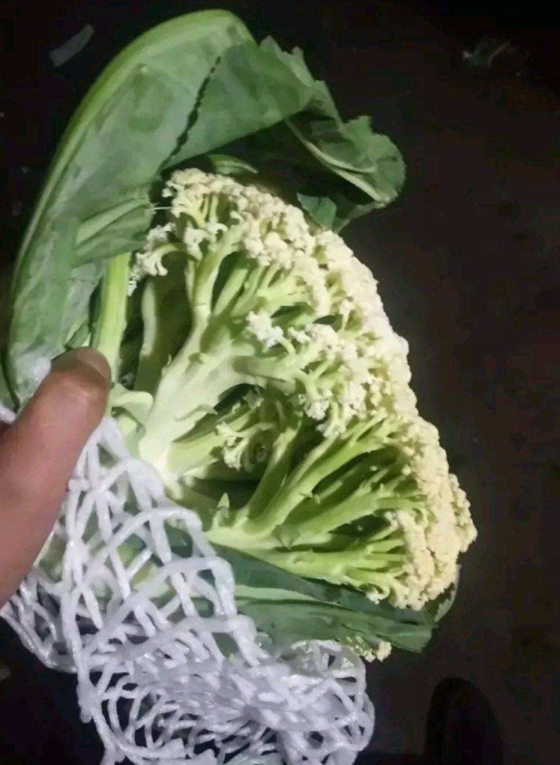松花菜有机花包上车地头直发诚信合作