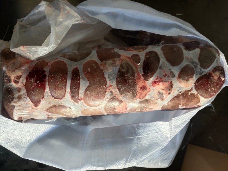 【羊净腰】绵羊的净腰！新鲜速冻！箱装一件五十斤十卷！