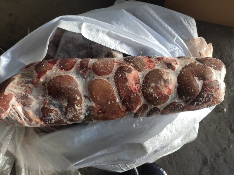 【羊净腰】绵羊的净腰！新鲜速冻！箱装一件五十斤十卷！