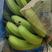 中国大陆徐闻香蕉芭蕉，海南香蕉等大量上市