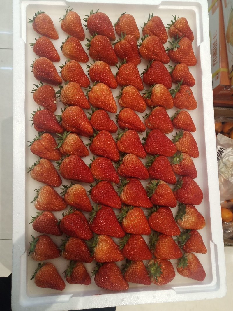 红颜草莓