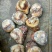 驴幅，马幅产品请选购优质驴肉马肉板肠下水