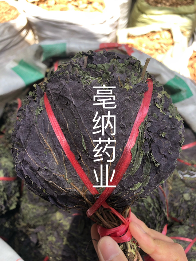 紫苏叶紫苏中药材批发纯干紫苏叶药用茶用1⃣️斤起批