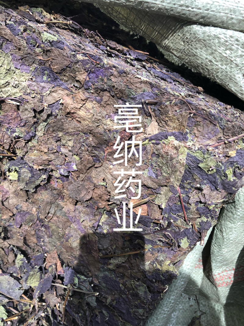 紫苏叶紫苏中药材批发纯干紫苏叶药用茶用1⃣️斤起批