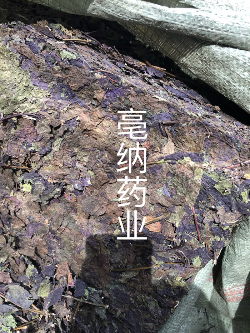 紫苏叶紫苏中药材批发纯干紫苏叶药用茶用1⃣️斤起批