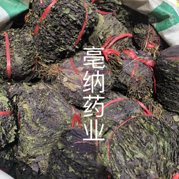 紫苏叶紫苏中药材批发纯干紫苏叶药用茶用1⃣️斤起批