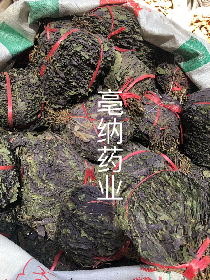 紫苏叶紫苏中药材批发纯干紫苏叶药用茶用1⃣️斤起批