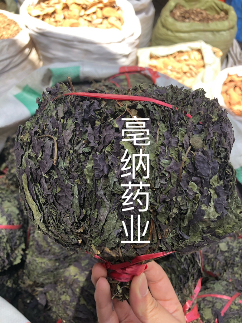 紫苏叶紫苏中药材批发纯干紫苏叶药用茶用1⃣️斤起批