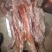 畜牧冻品请选购优质驴肉马肉板肠下水