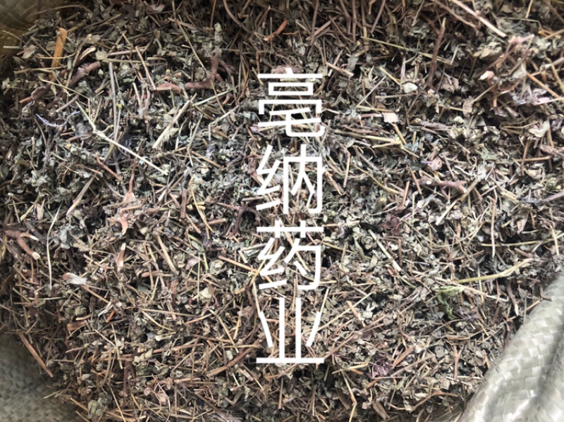 地锦草血见愁草1⃣️公斤起批草药大全量大从优