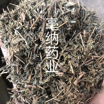 地锦草血见愁草1⃣️公斤起批草药大全量大从优