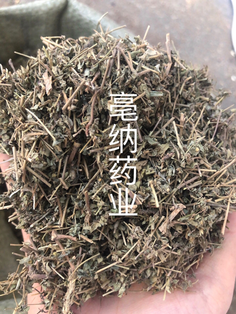 地锦草血见愁草1⃣️公斤起批草药大全量大从优