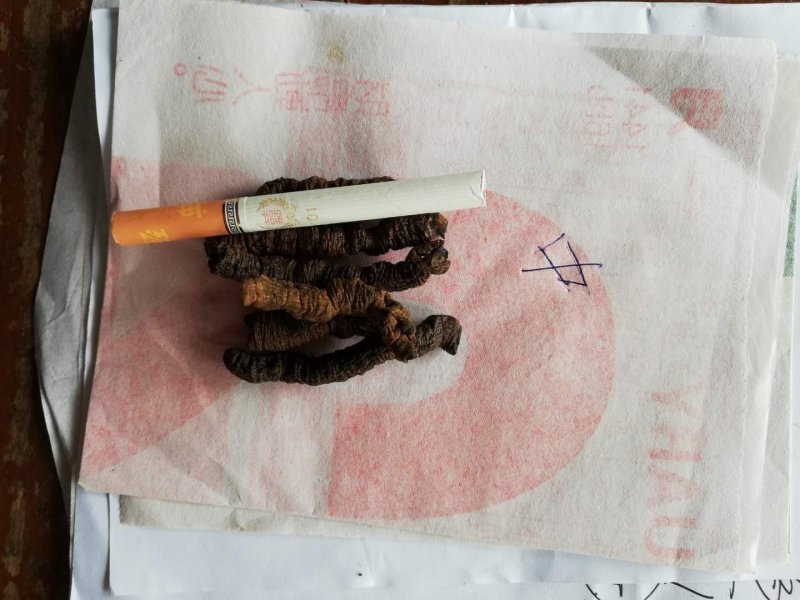 粗制巴戟天，蒸煮一日一夜，精挑细选分级均匀