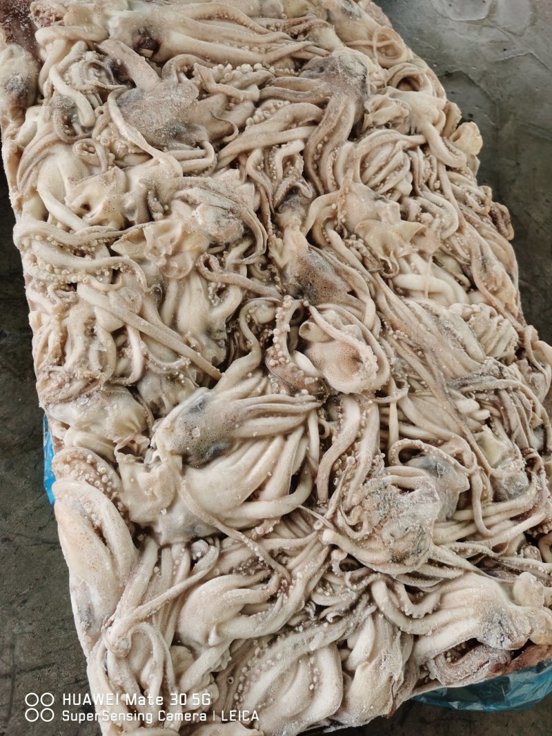 鱿鱼头，鱿鱼须，船冻原料头，原汁不泡水20斤一件