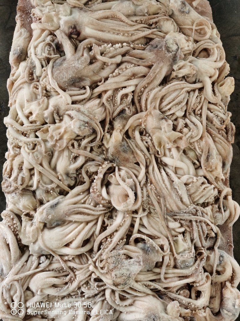 鱿鱼头，鱿鱼须，船冻原料头，原汁不泡水20斤一件