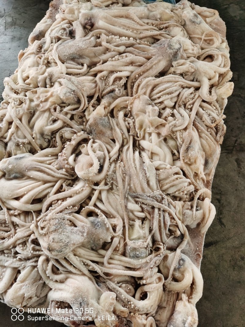 鱿鱼头，鱿鱼须，船冻原料头，原汁不泡水20斤一件
