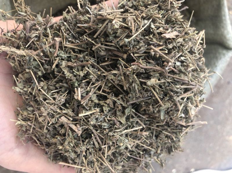 地锦草血见愁草1⃣️公斤起批草药大全量大从优