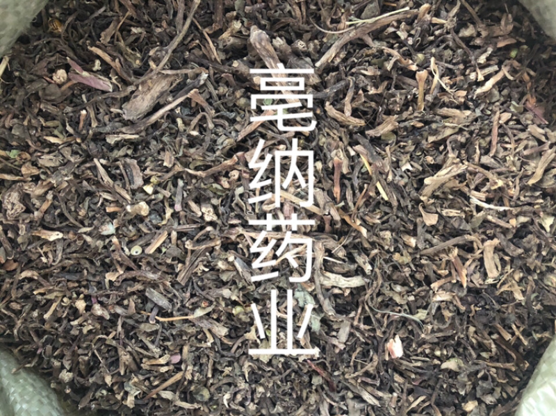 马齿苋马齿菜马苋1⃣️公斤起批草药大全量大从优