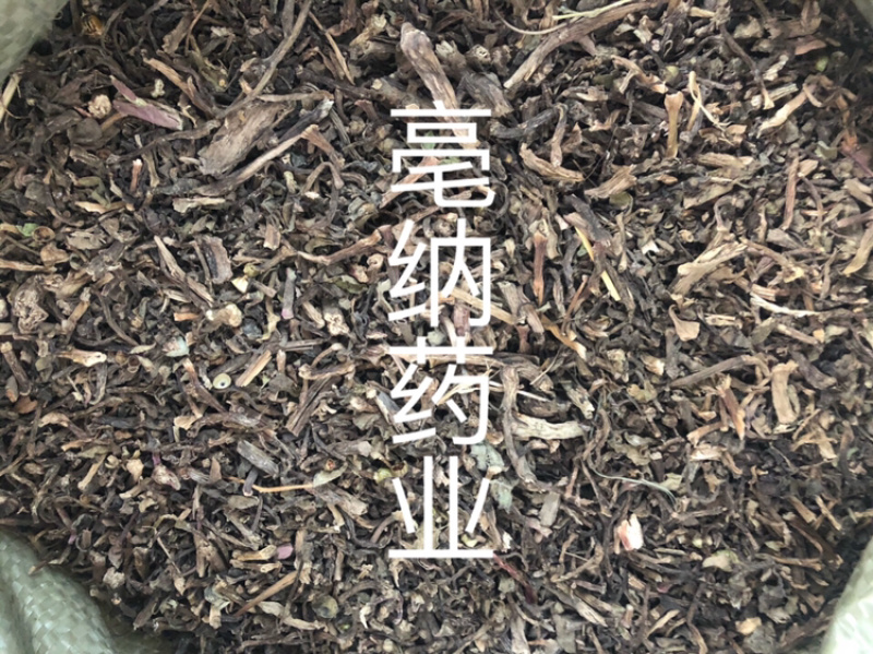 马齿苋马齿菜马苋1⃣️公斤起批草药大全量大从优