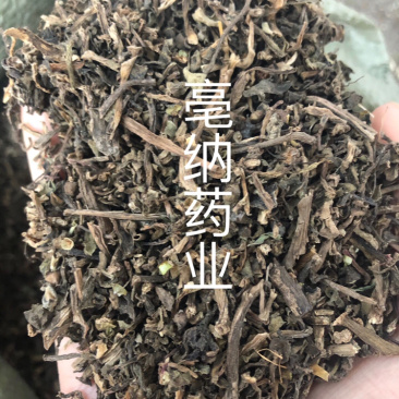 马齿苋马齿菜马苋1⃣️公斤起批草药大全量大从优