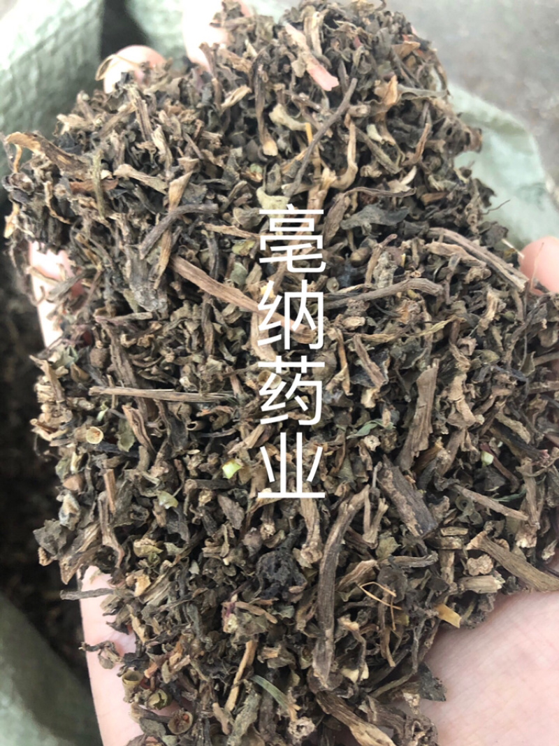 马齿苋马齿菜马苋1⃣️公斤起批草药大全量大从优