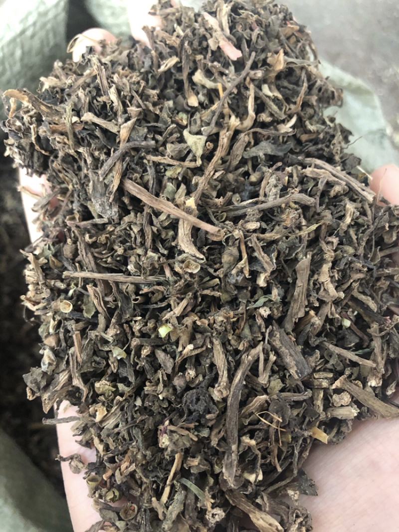 马齿苋马齿菜马苋1⃣️公斤起批草药大全量大从优