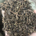 马齿苋马齿菜马苋1⃣️公斤起批草药大全量大从优