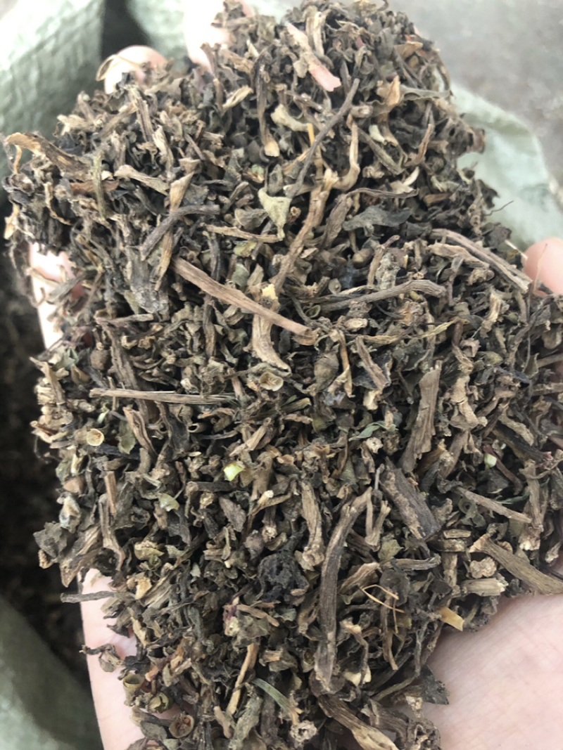马齿苋马齿菜马苋1⃣️公斤起批草药大全量大从优