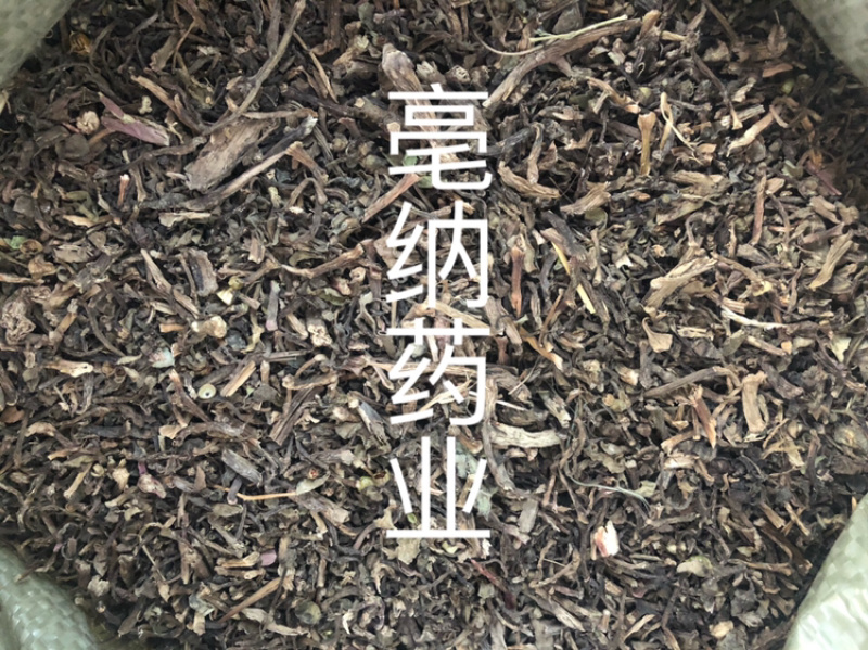 马齿苋马齿菜马苋1⃣️公斤起批草药大全量大从优