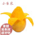 台农芒果苗，四季蜜芒果苗