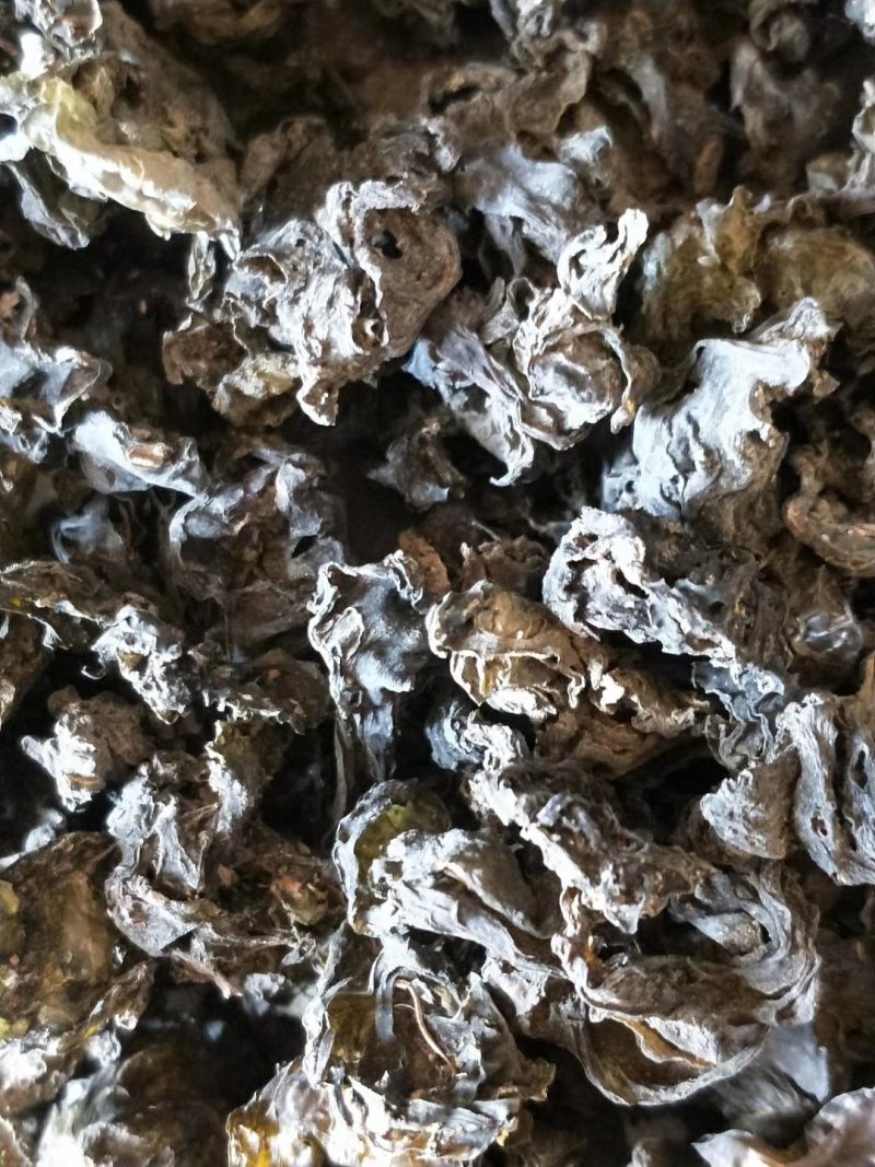 免洗地皮菜干净无杂质，是一种菌类菜经过洗几次蒸包子