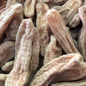 正宗天麻昭通天麻丽江天麻产地直销可帮磨粉切片