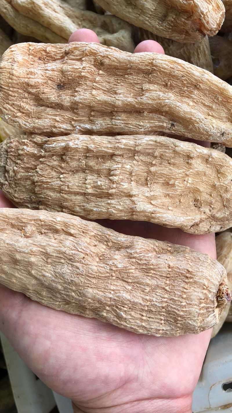 正宗天麻昭通天麻丽江天麻产地直销可帮磨粉切片
