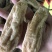 正宗天麻昭通天麻丽江天麻产地直销可帮磨粉切片
