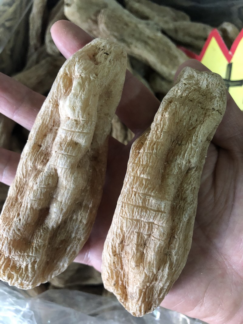 正宗天麻昭通天麻丽江天麻产地直销可帮磨粉切片