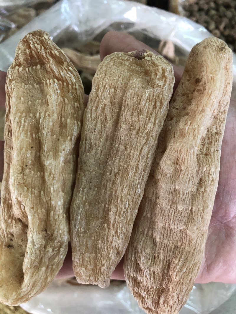 正宗天麻昭通天麻丽江天麻产地直销可帮磨粉切片
