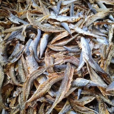 巴浪干，淡干巴浪肉净重一斤