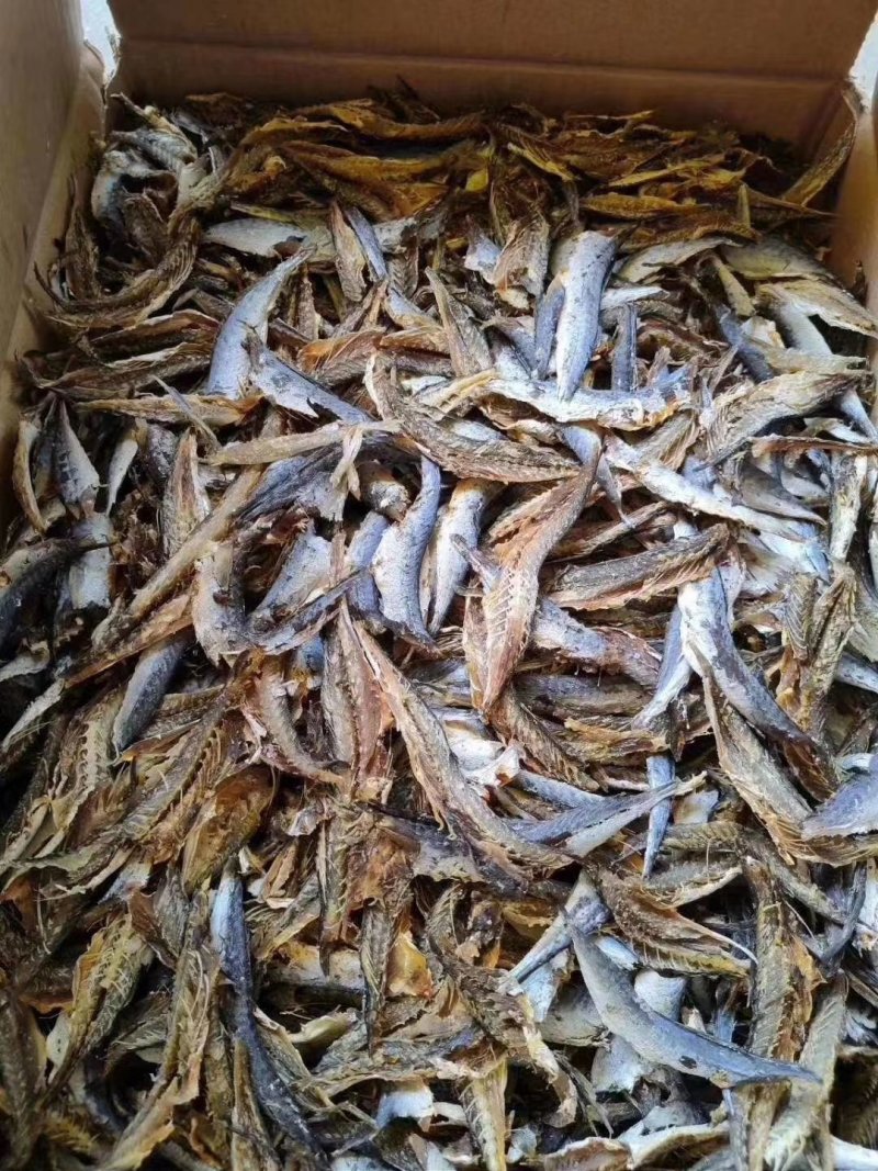 巴浪干，淡干巴浪肉净重一斤