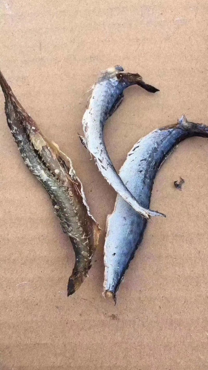 巴浪干，淡干巴浪肉净重一斤
