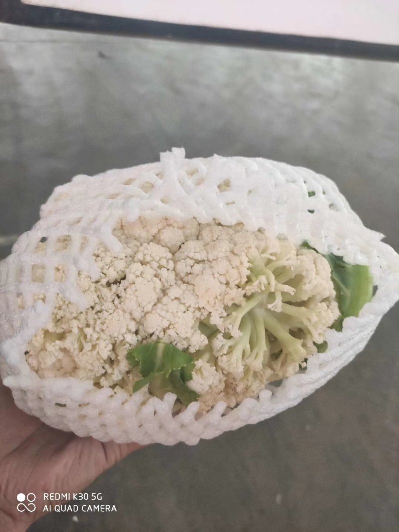 兰州高原夏菜大量上市，冷库开始提前预订，支持实地考察