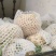 兰州高原夏菜大量上市，冷库开始提前预订，支持实地考察