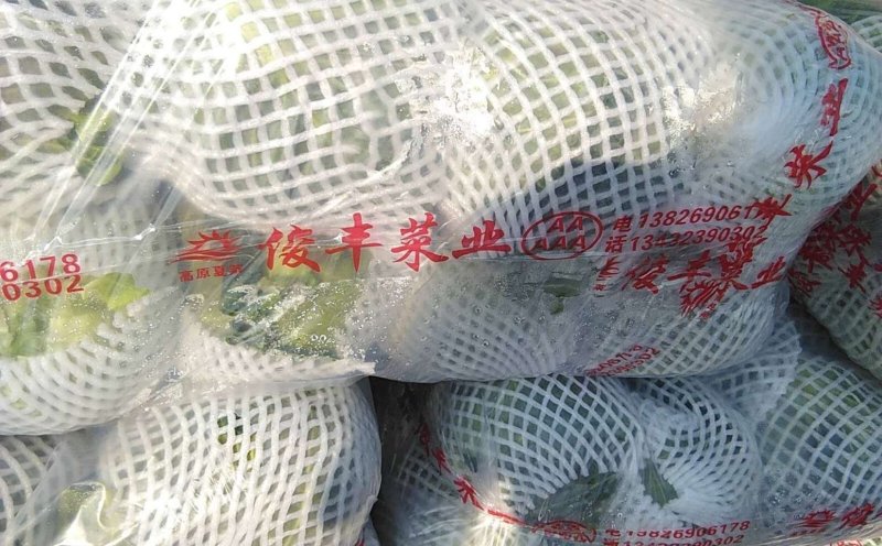 兰州高原夏菜大量上市，冷库开始提前预订，支持实地考察