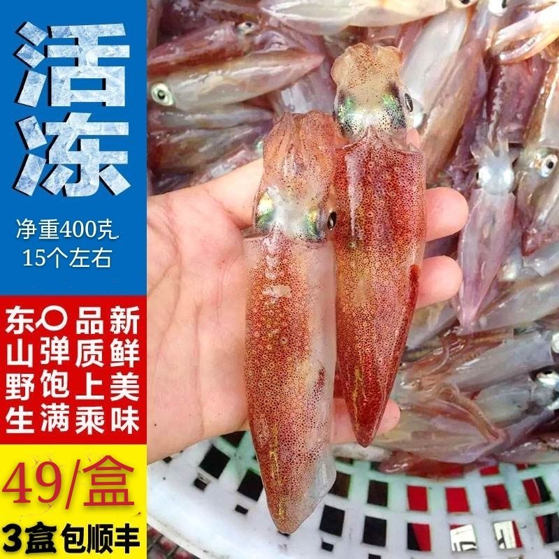 东山小管活小管小鱿鱼鲜甜爽脆