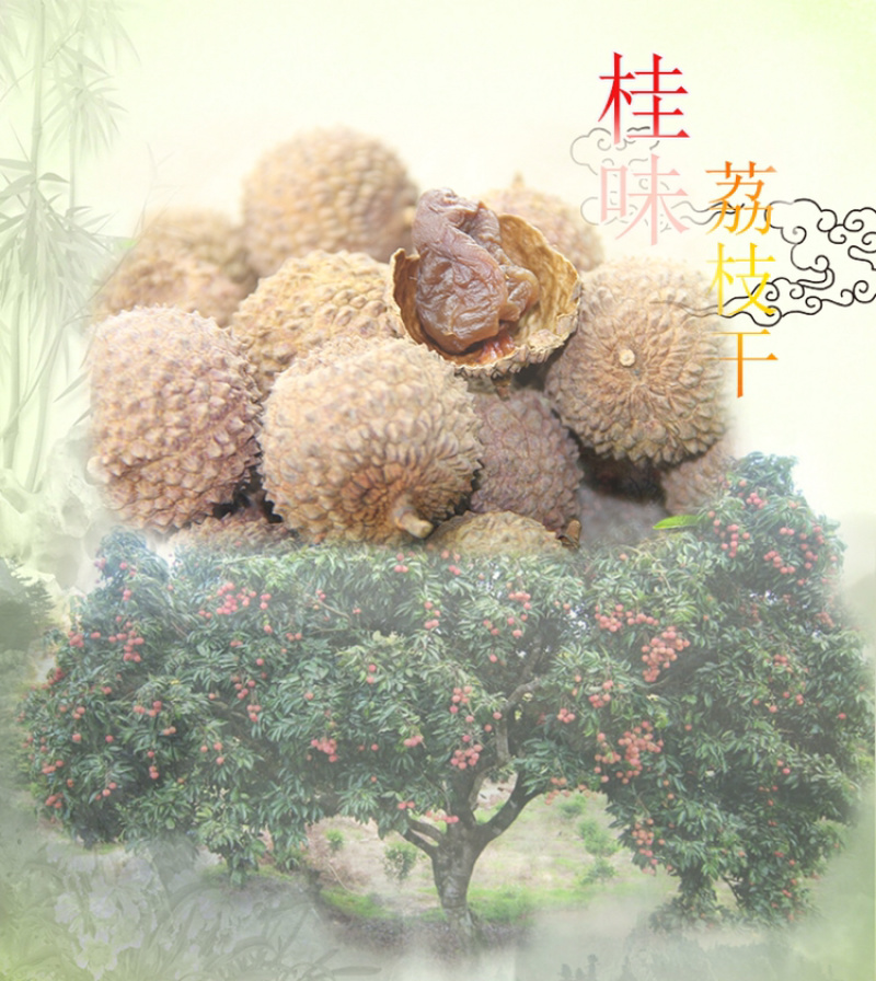 桂味荔枝干高州原产地包邮直发高州荔枝