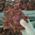 保店五香驴肉熟食新鲜现煮真空小包装500g即食卤香酱驴肉
