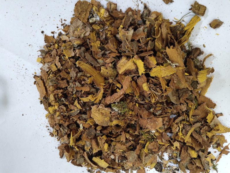 黄柏沫子不包运费批发零售品种齐全支持混批量大从优