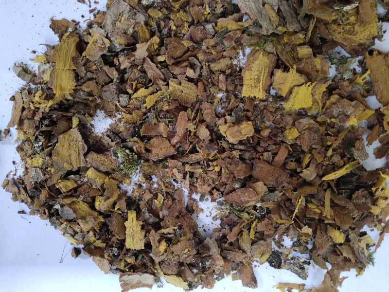 黄柏沫子不包运费批发零售品种齐全支持混批量大从优