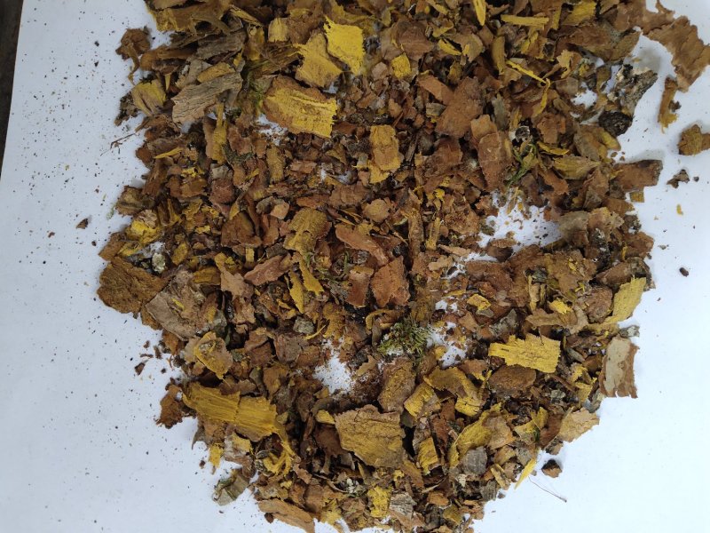 黄柏沫子不包运费批发零售品种齐全支持混批量大从优