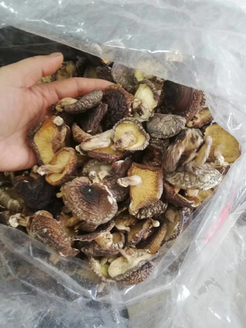 乳源大布大峡谷纯野生冬菇