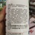 杀虫剂氯氰菊酯